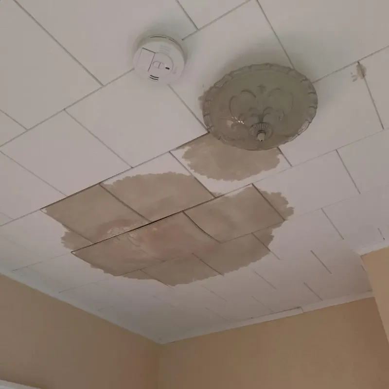 Ceiling Water Damage Repair in Greenock, PA
