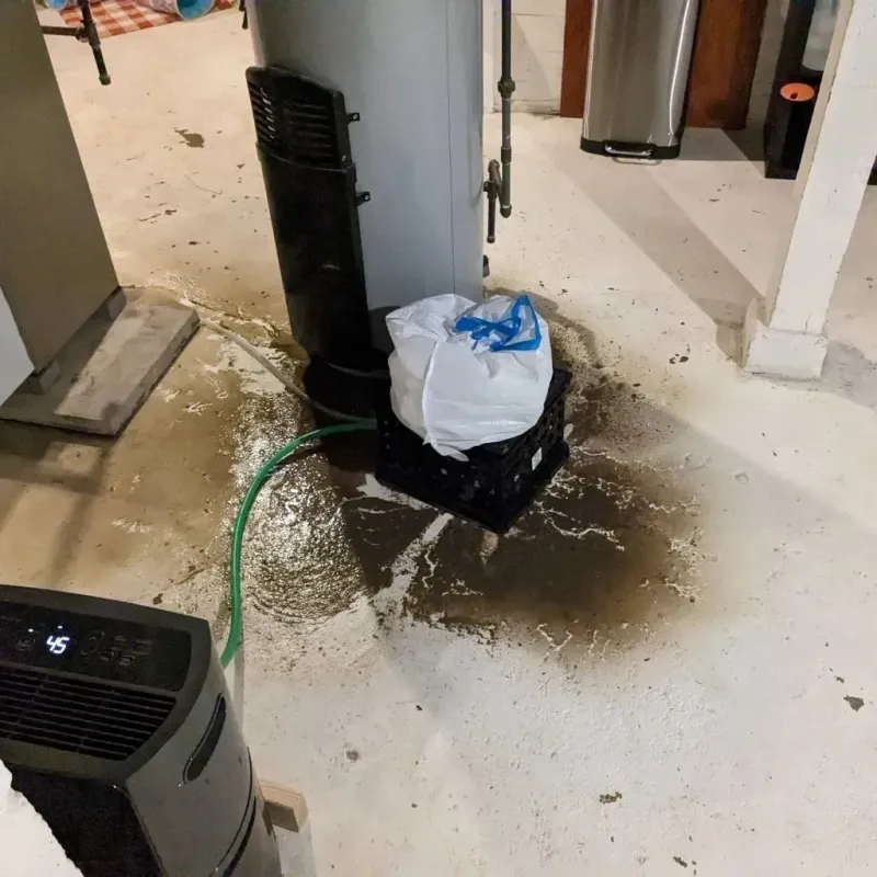 Sewage Backup Cleanup Service in Greenock, PA